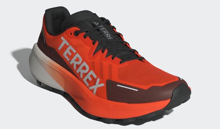 adidas terrex agravic 3